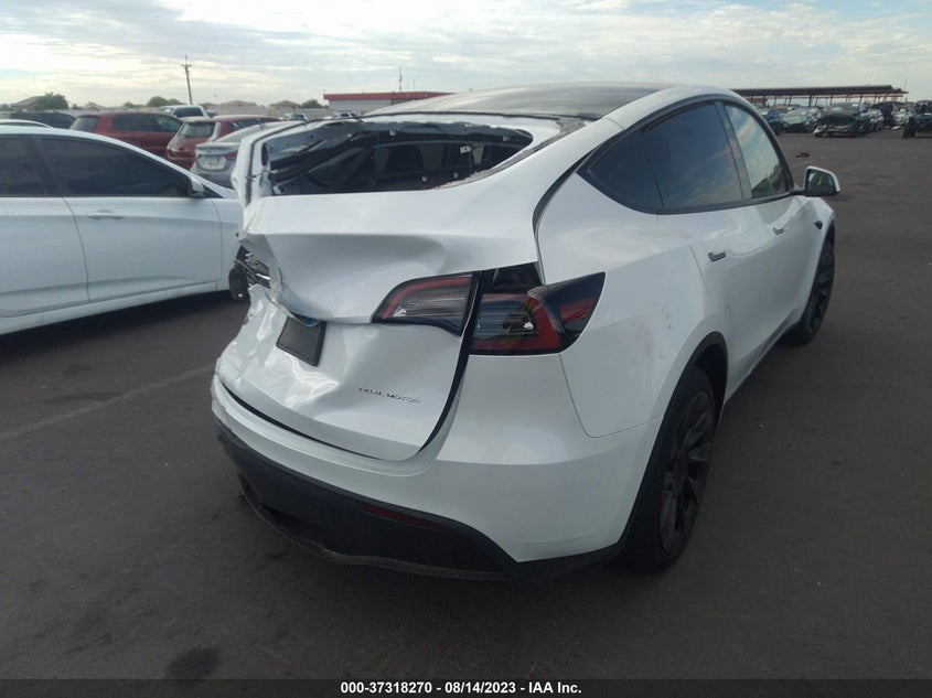 VIN 7SAYGAEE0PF695572 2023 TESLA MODEL Y