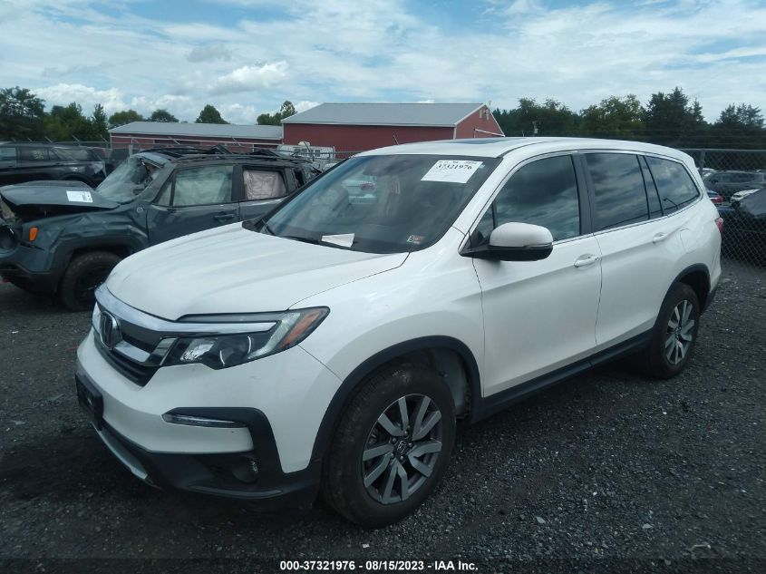 2019 HONDA PILOT EX-L - 5FNYF6H52KB085495