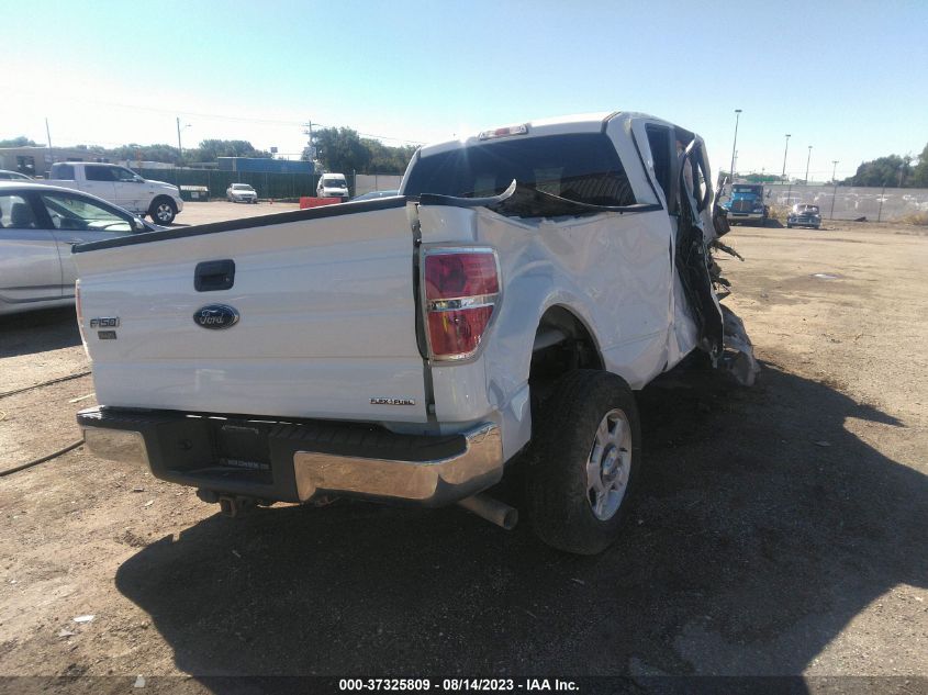 2014 FORD F-150 XL/STX/XLT - 1FTEX1EM1EFA29501