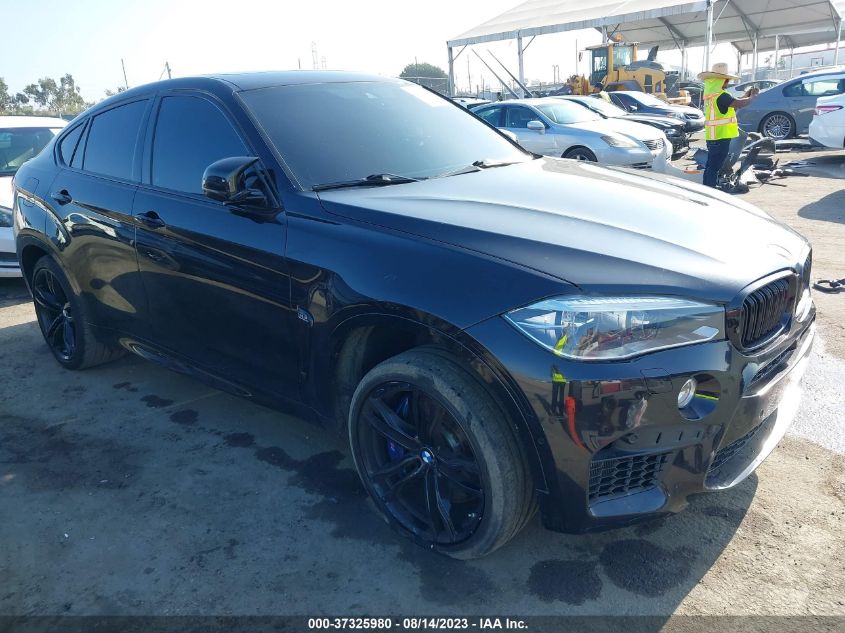 2018 BMW X6 M - 5YMKW8C50J0U72656