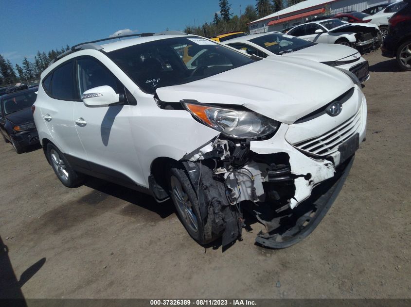 2013 HYUNDAI TUCSON GLS - KM8JUCAC8DU618907