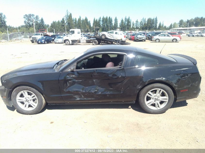 2014 FORD MUSTANG V6 - 1ZVBP8AM4E5238445