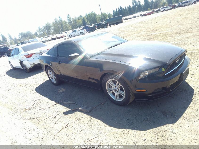 2014 FORD MUSTANG V6 - 1ZVBP8AM4E5238445