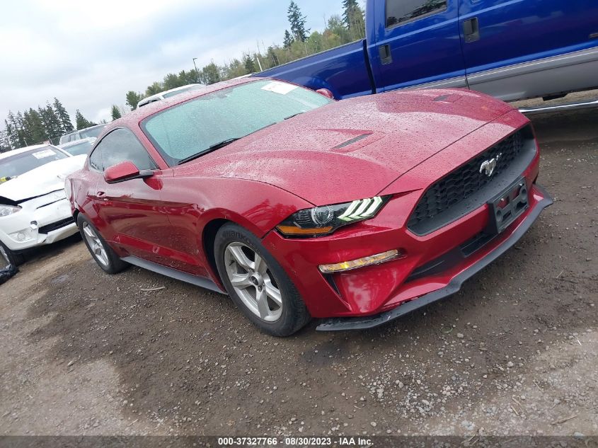 2019 FORD MUSTANG ECOBOOST - 1FA6P8TH1K5186231