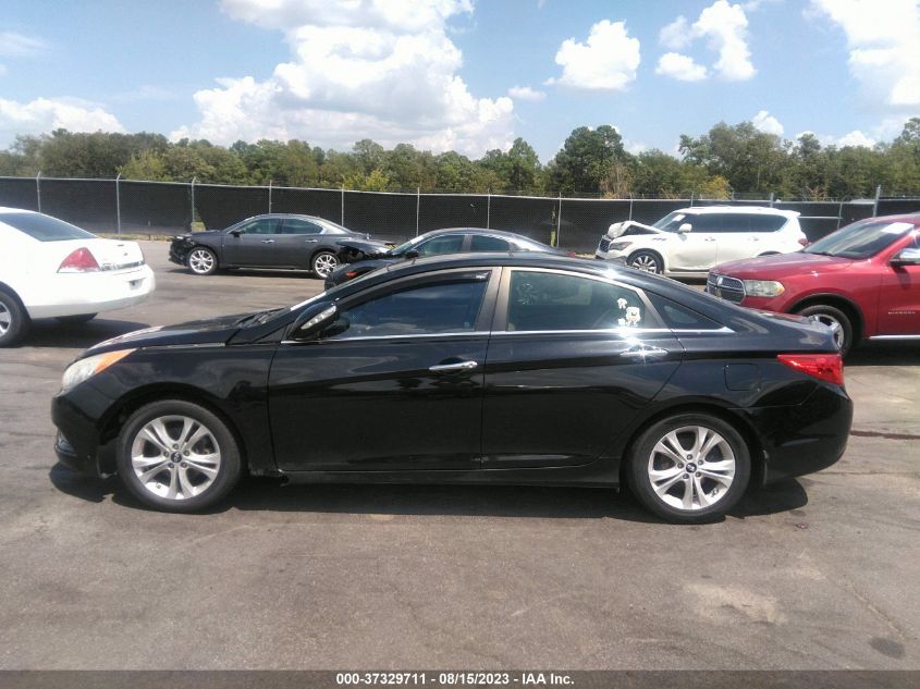 2013 HYUNDAI SONATA LIMITED - 5NPEC4AC9DH666733