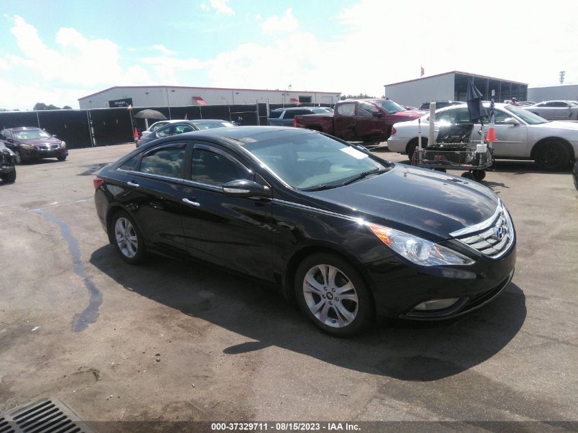 2013 HYUNDAI SONATA LIMITED - 5NPEC4AC9DH666733