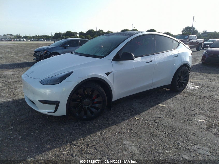 VIN 7SAYGDEF7NF376886 2022 TESLA MODEL Y