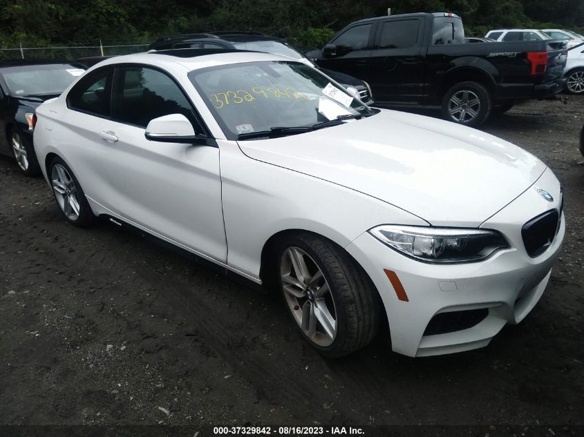 2015 BMW 2 SERIES 228I - WBA1F5C55FV343533