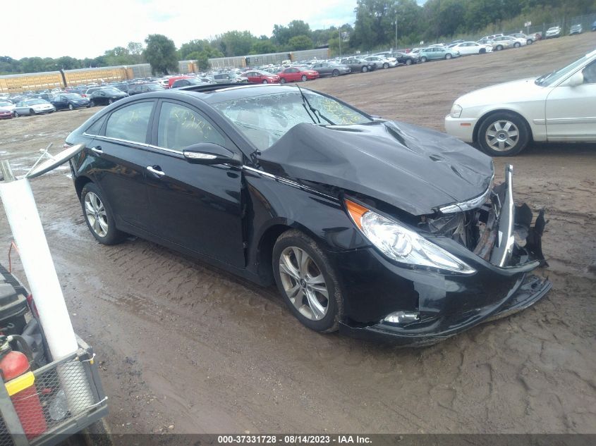 2013 HYUNDAI SONATA LIMITED - 5NPEC4AC3DH642279