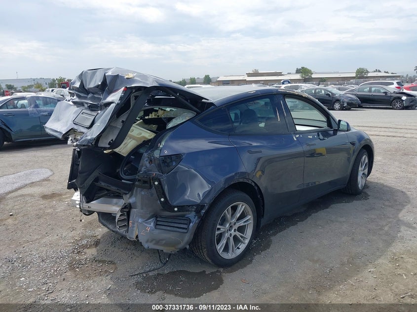 VIN 7SAYGDEE6PF622238 2023 TESLA MODEL Y