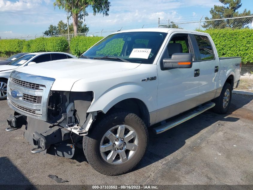 2013 FORD F-150 XL/XLT/FX4/LARIAT - 1FTFW1EF8DKD48392