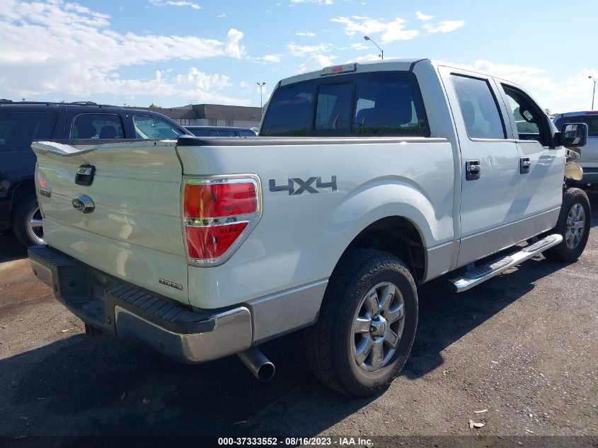 2013 FORD F-150 XL/XLT/FX4/LARIAT - 1FTFW1EF8DKD48392