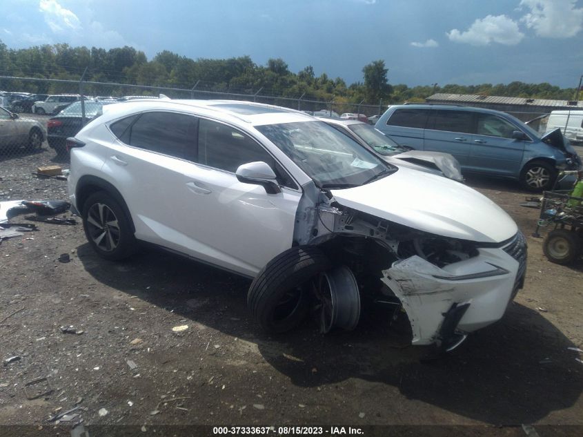 2018 LEXUS NX NX 300 - JTJBARBZ2J2178758