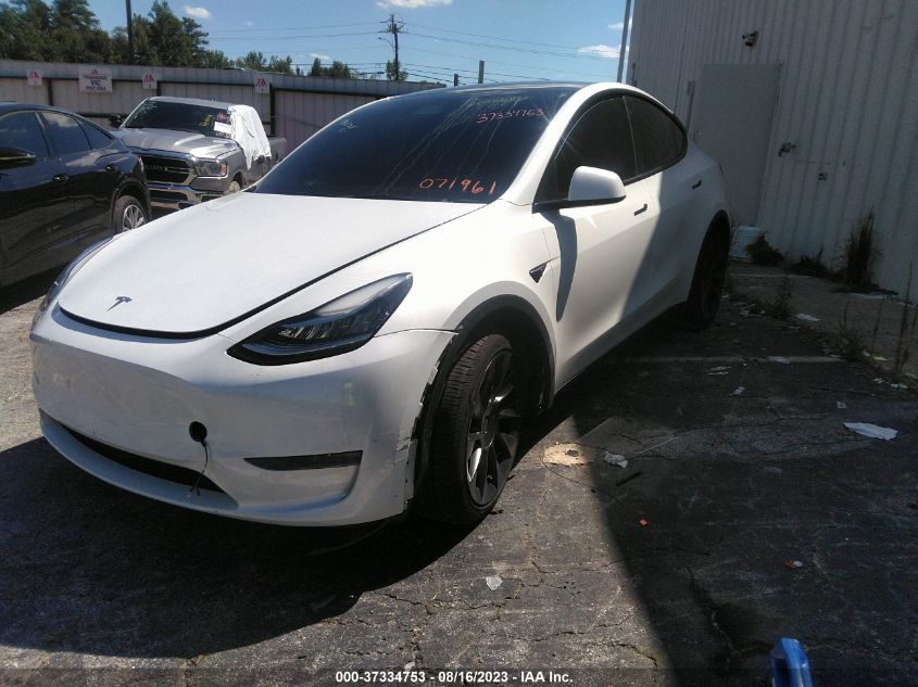 2023 TESLA MODEL Y - 7SAYGDEE5PA071961