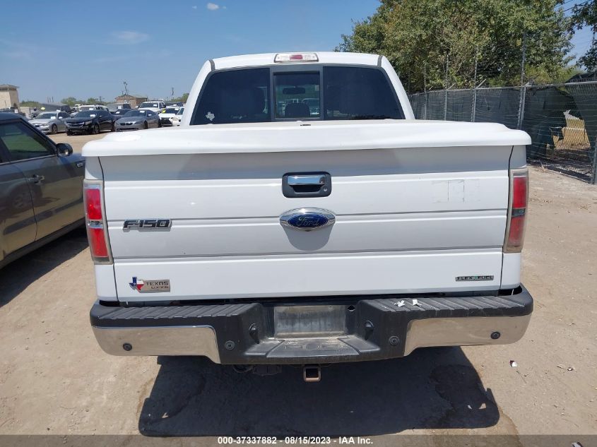 2013 FORD F-150 XL/XLT/FX4/LARIAT - 1FTFW1EF7DFA90567