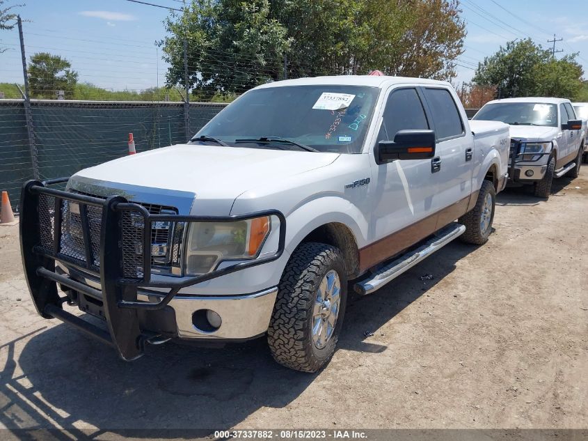 2013 FORD F-150 XL/XLT/FX4/LARIAT - 1FTFW1EF7DFA90567
