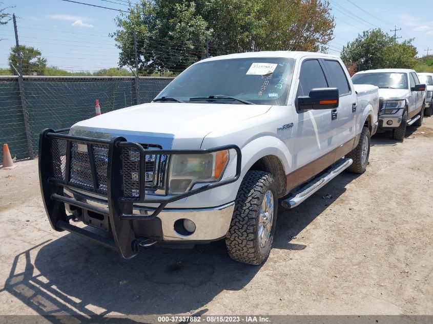 2013 FORD F-150 XL/XLT/FX4/LARIAT - 1FTFW1EF7DFA90567