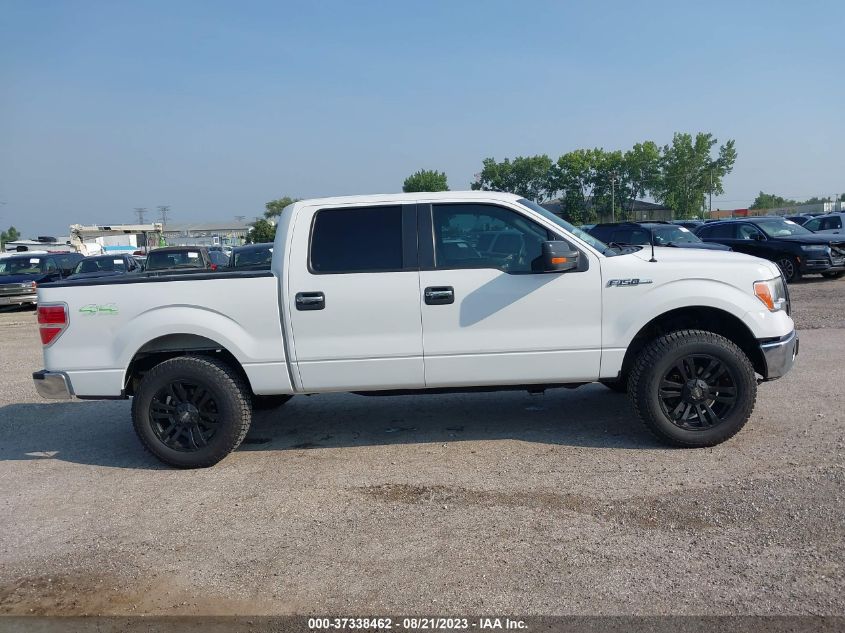 2013 FORD F-150 XL/XLT/FX4/LARIAT - 1FTFW1EF5DKF93201