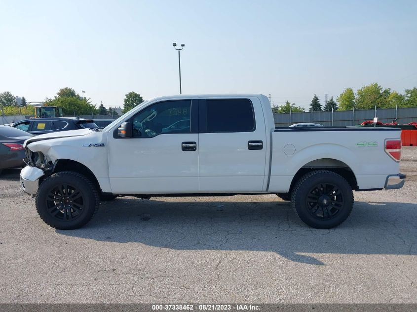 2013 FORD F-150 XL/XLT/FX4/LARIAT - 1FTFW1EF5DKF93201