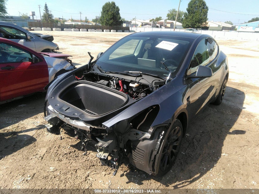 VIN 7SAYGDEE0PA098761 2023 TESLA MODEL Y