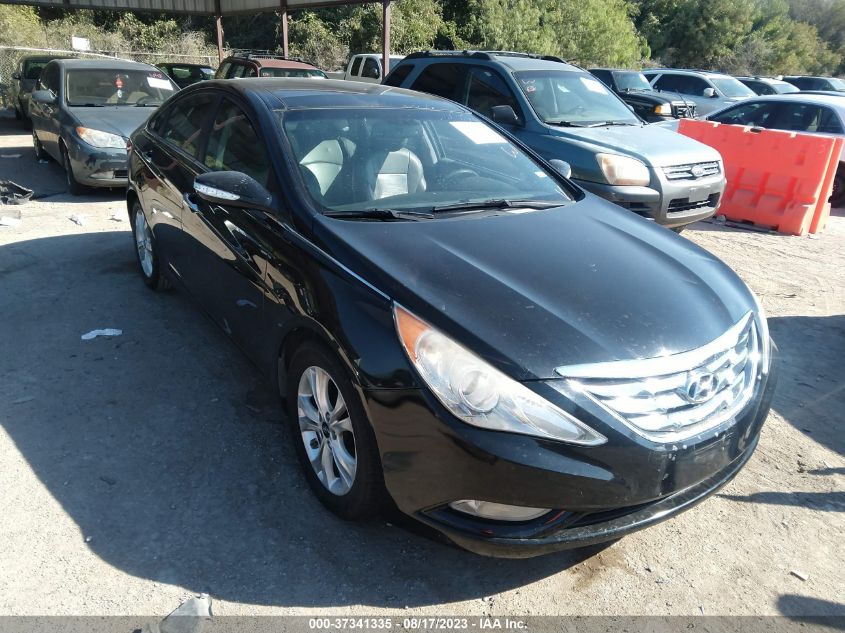 2013 HYUNDAI SONATA LIMITED - 5NPEC4AC2DH577859