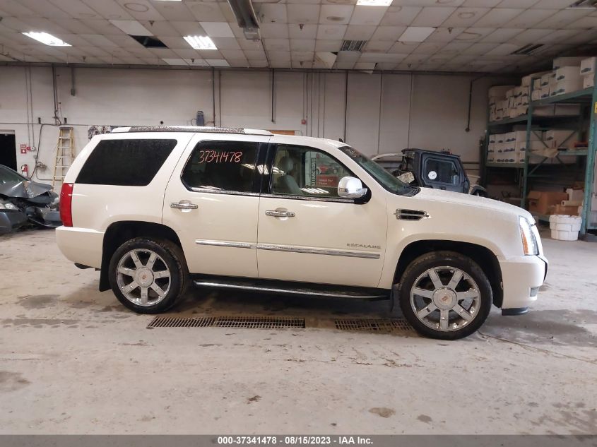 2013 CADILLAC ESCALADE LUXURY - 1GYS4BEF3DR226941