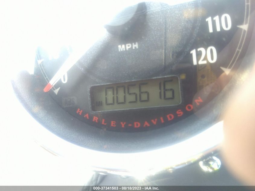 2015 HARLEY-DAVIDSON XL1200 C - 1HD1CT315FC407870