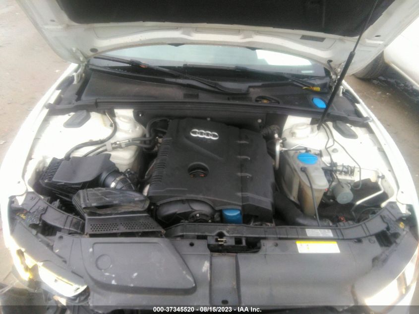 2013 AUDI A5 PREMIUM PLUS - WAULFAFH3DN010073