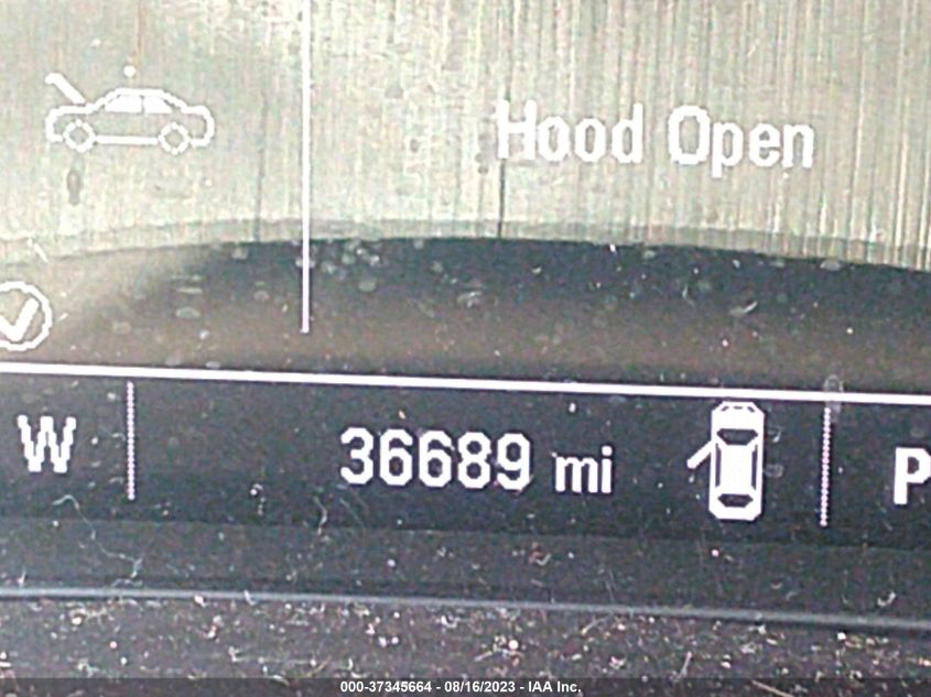 2019 CHEVROLET MALIBU LT - 1G1ZD5ST7KF124629