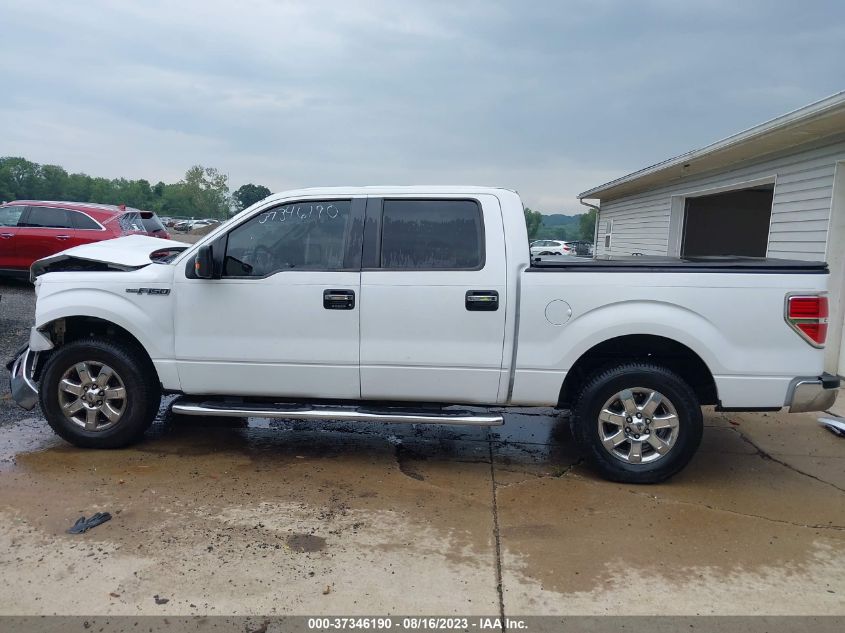 2014 FORD F-150 XL/STX/XLT/FX2/LARIAT - 1FTFW1CF2EKG31942