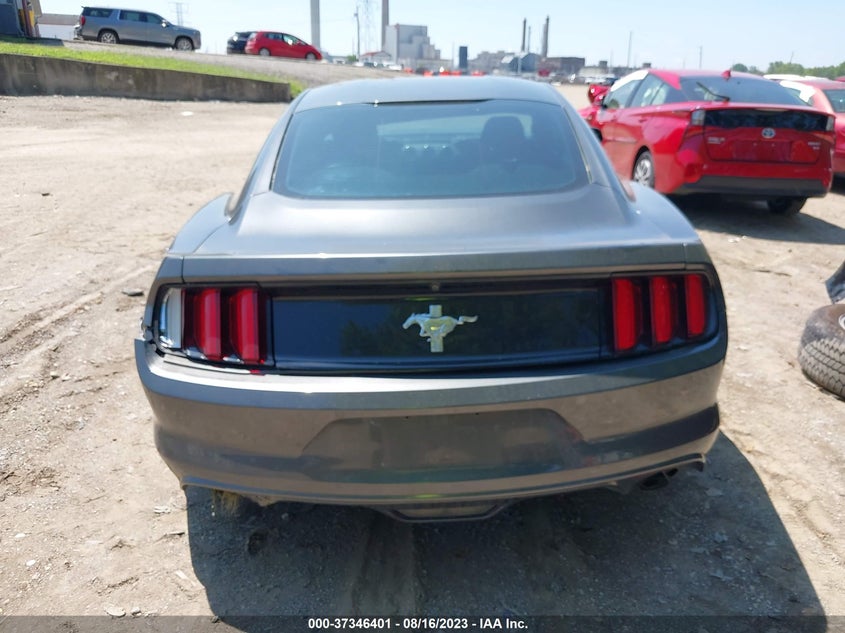 VIN 1FA6P8AMXH5207957 2017 FORD MUSTANG