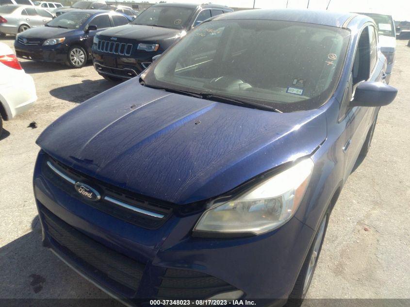 2014 FORD ESCAPE SE - 1FMCU0GX4EUD02987