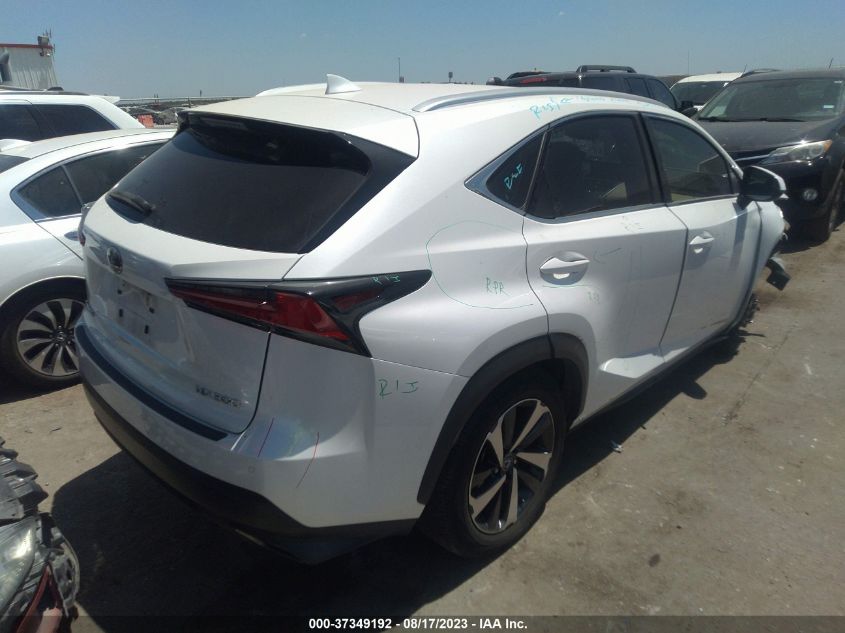 2018 LEXUS NX NX 300 JTJYARBZ7J2103516