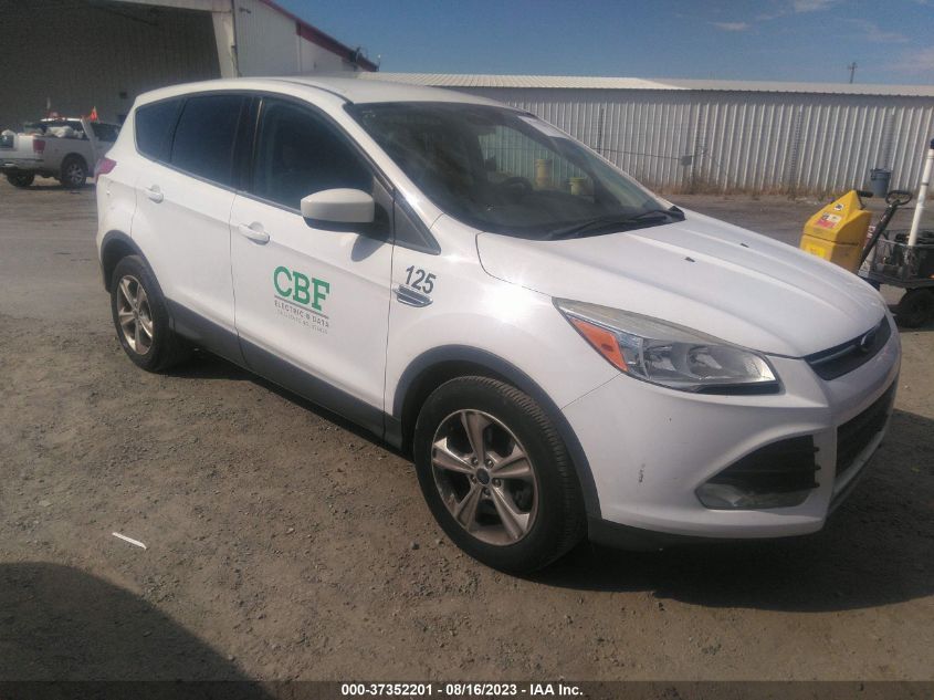 2014 FORD ESCAPE SE - 1FMCU0GX6EUD59028