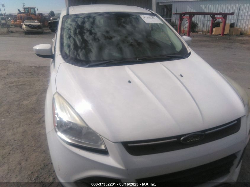 2014 FORD ESCAPE SE - 1FMCU0GX6EUD59028