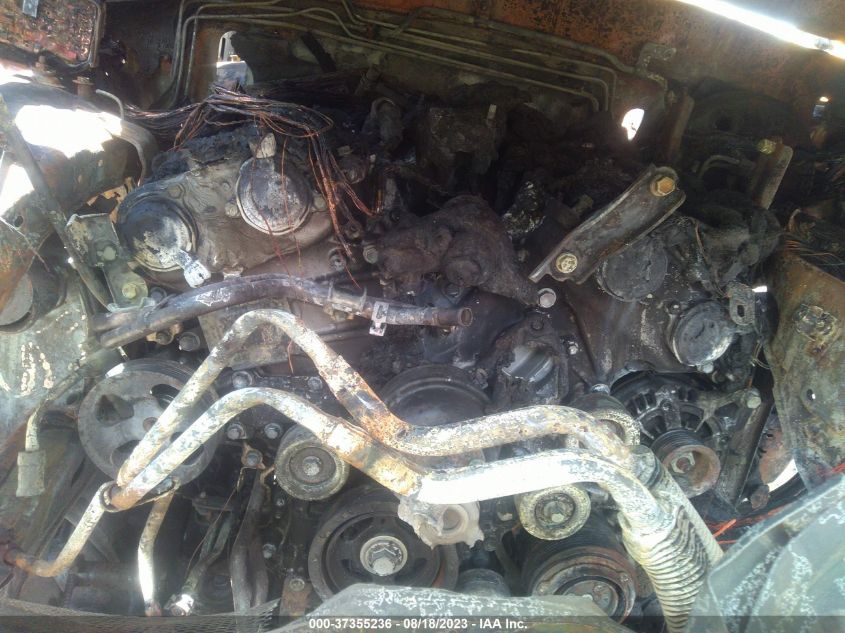 2023 TOYOTA TACOMA SR5 V6 - 3TMCZ5AN5PM581786