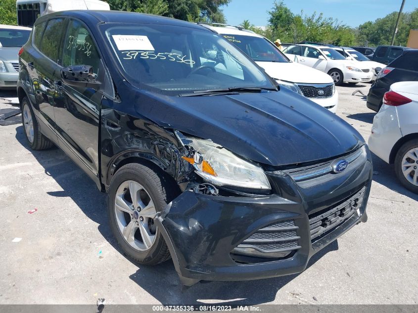 2013 FORD ESCAPE SE - 1FMCU0GX0DUD41459