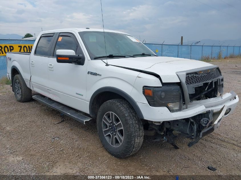 2013 FORD F-150 XL/XLT/FX4/LARIAT - 1FTFW1ET3DKG00667