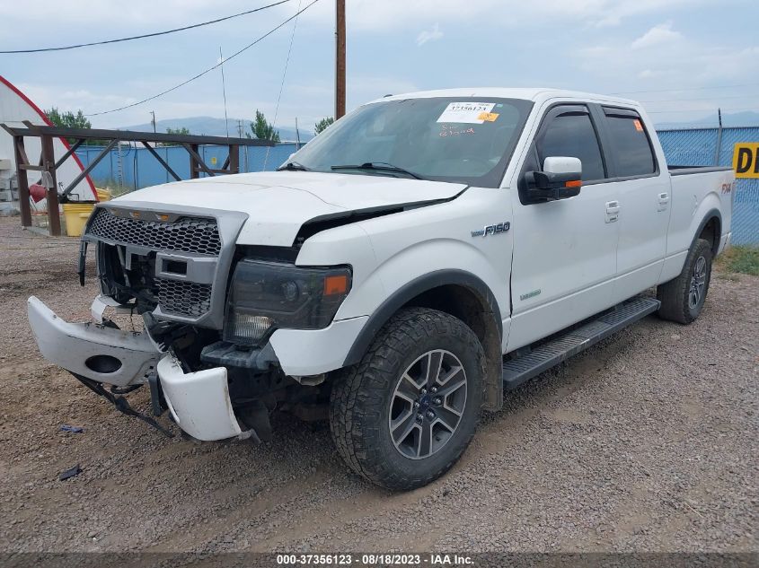 2013 FORD F-150 XL/XLT/FX4/LARIAT - 1FTFW1ET3DKG00667