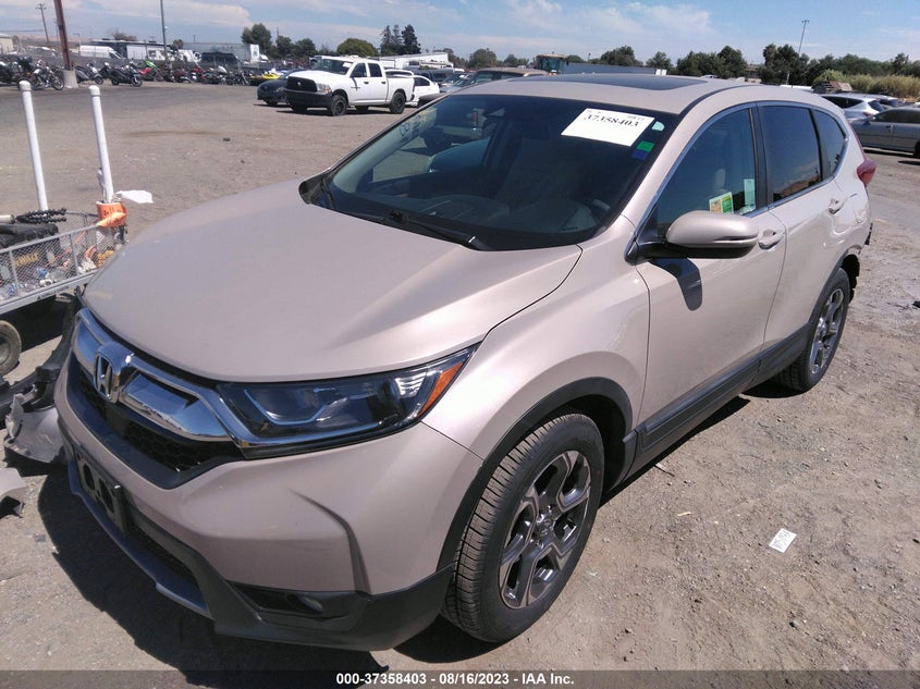 VIN 5J6RW1H53KL005667 2019 HONDA CR-V EX