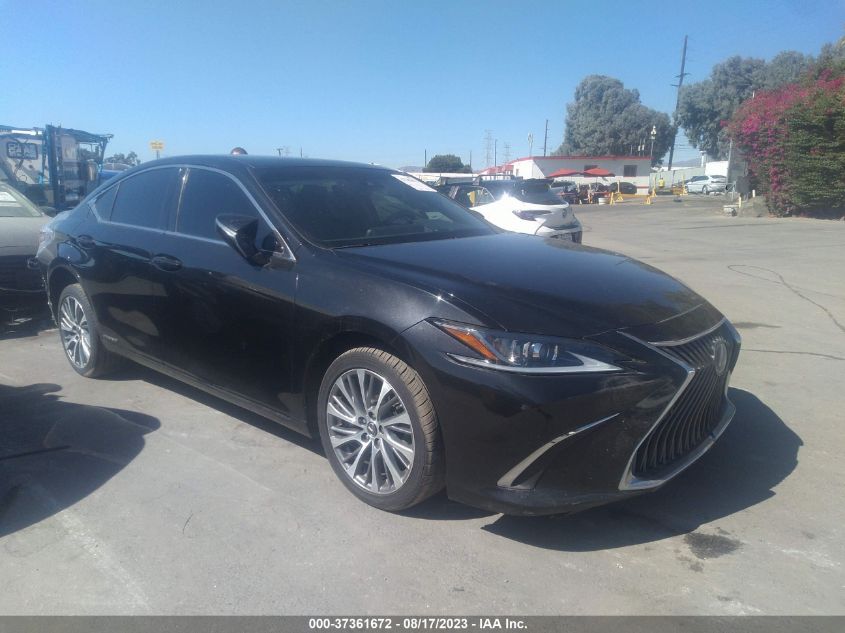 2021 LEXUS ES ES 300H - 58ADA1C14MU001390