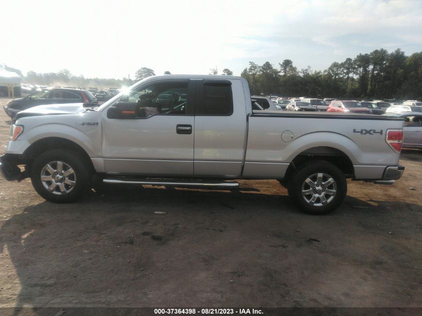 2013 FORD F-150 XL/STX/XLT/FX4/LARIAT - 1FTFX1EF8DFC18571