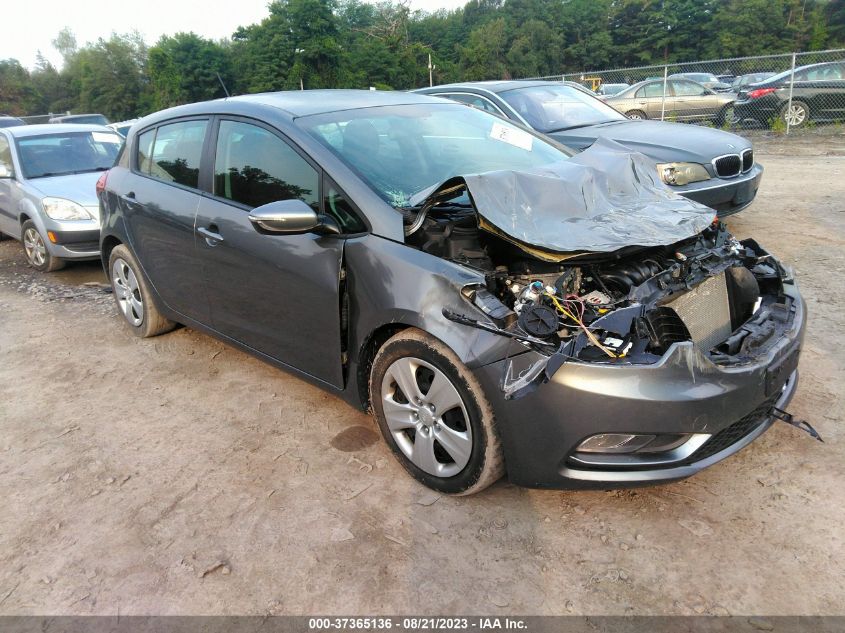 2016 KIA FORTE 5-DOOR LX - KNAFK5A80G5597859