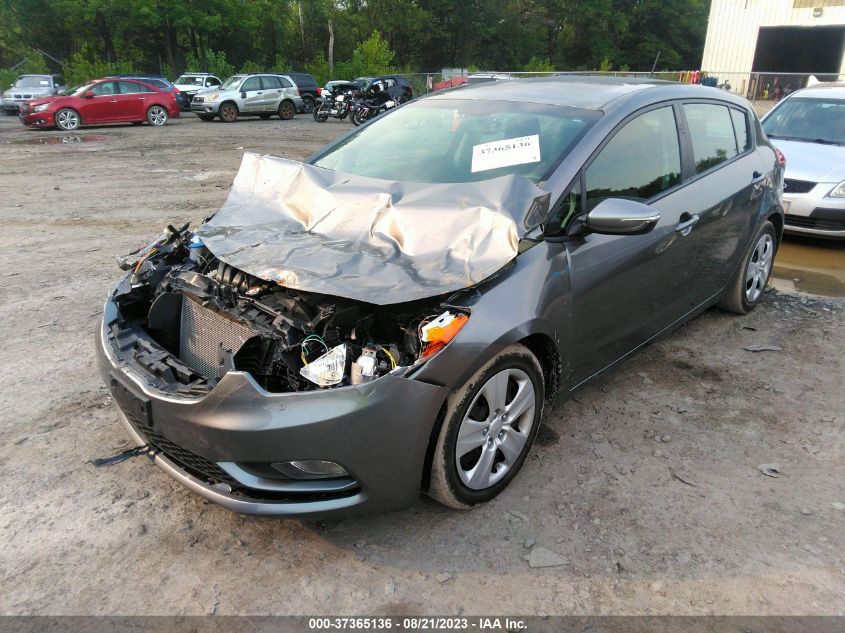 2016 KIA FORTE 5-DOOR LX - KNAFK5A80G5597859