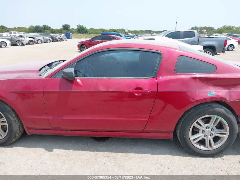 2013 FORD MUSTANG V6 - 1ZVBP8AM9D5206136