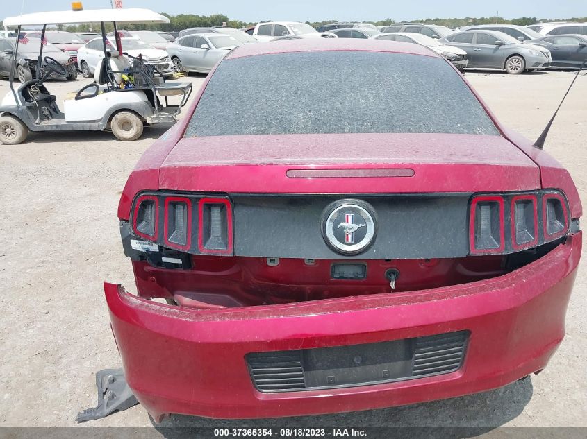 2013 FORD MUSTANG V6 - 1ZVBP8AM9D5206136