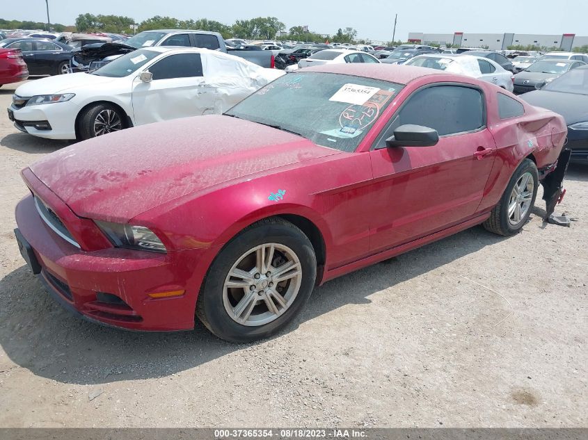 2013 FORD MUSTANG V6 - 1ZVBP8AM9D5206136