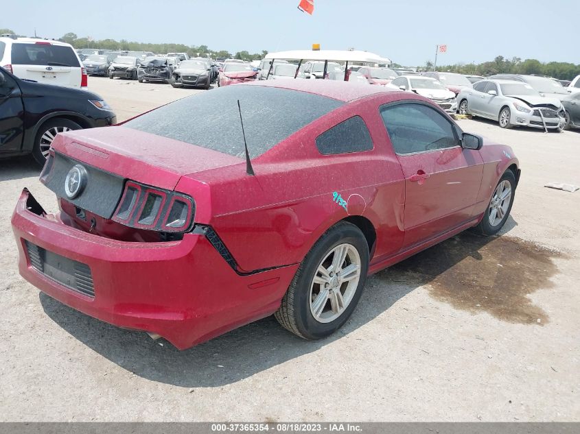 2013 FORD MUSTANG V6 - 1ZVBP8AM9D5206136