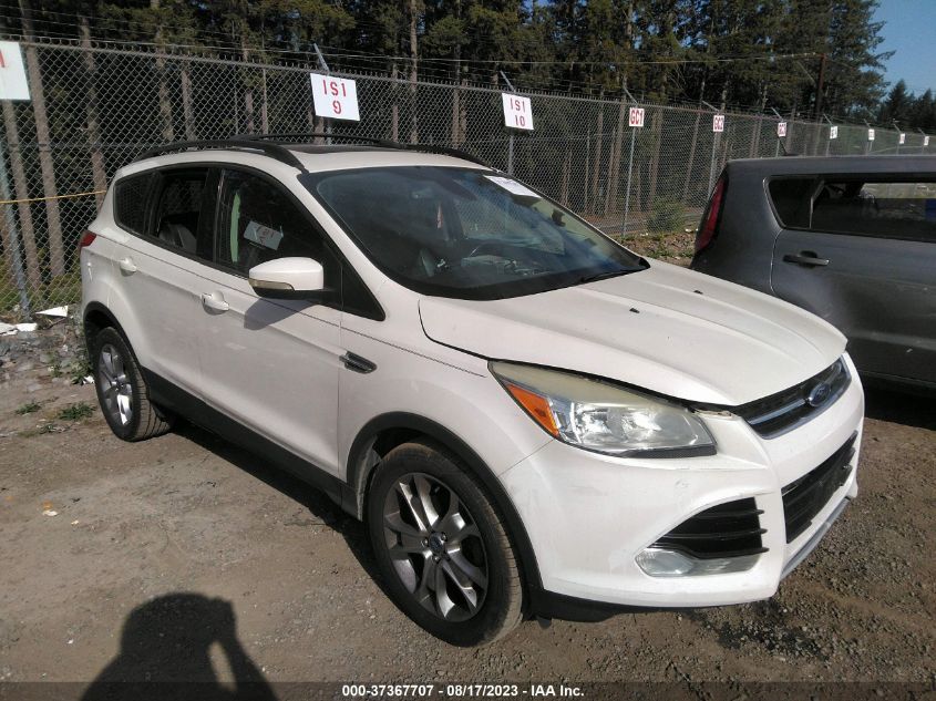 2013 FORD ESCAPE SEL - 1FMCU0HX1DUA91423