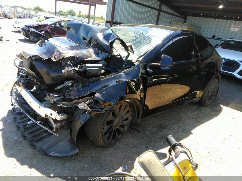 VIN 7SAYGDEF6NF343118 2022 TESLA MODEL Y PERFORMANCE